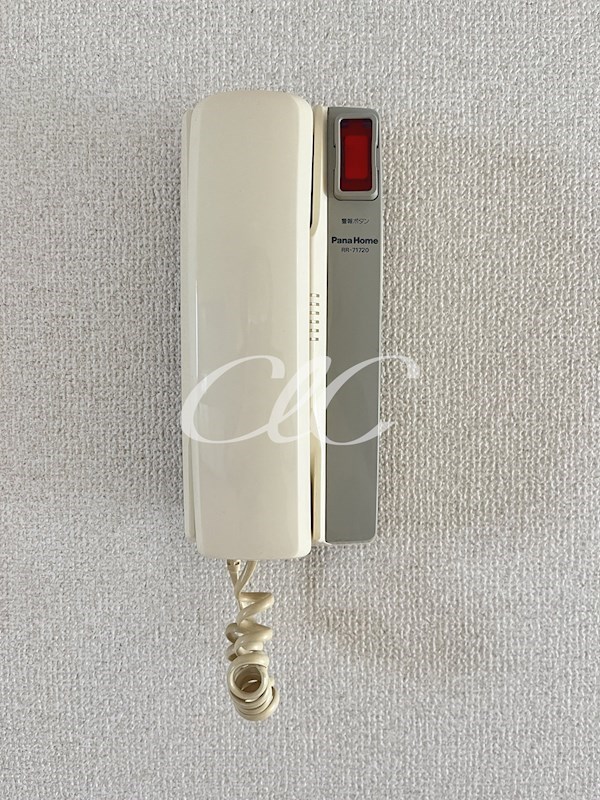 ボナール その他7