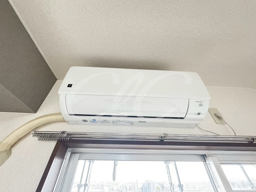 パレシャルマン その他5