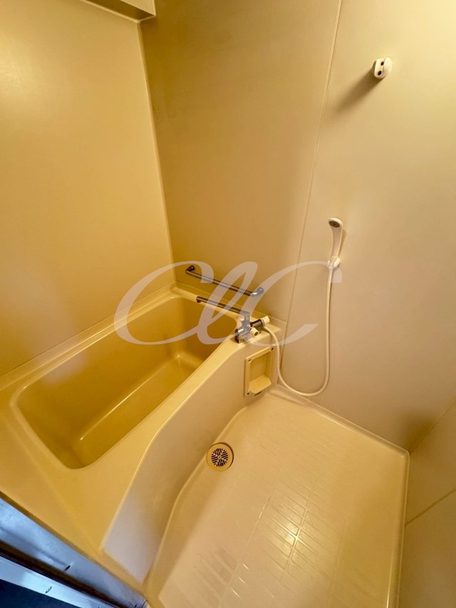 パレシャルマン 風呂画像