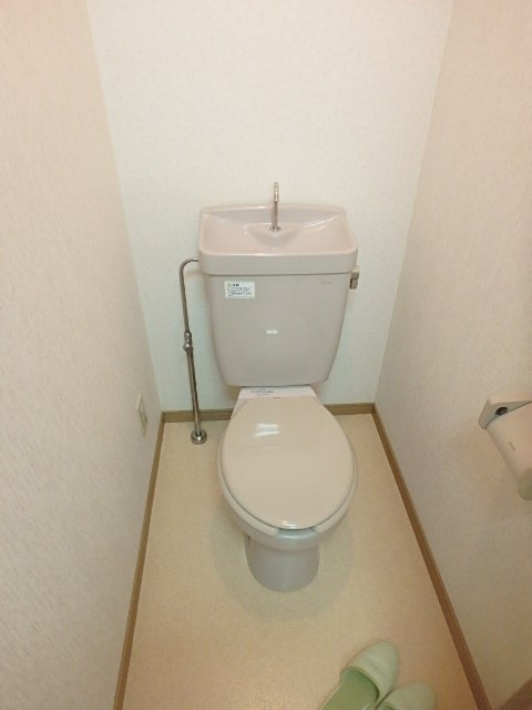 ラクダ その他1