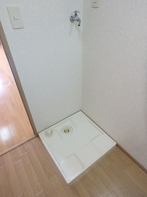 ラクダ その他2