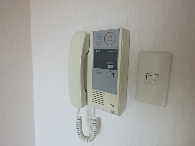 ラクダ その他3