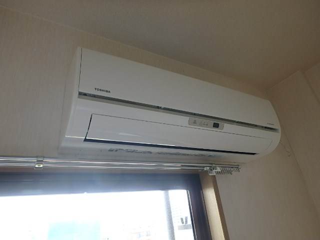 ラクダ その他5