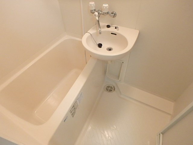 ラクダ その他6