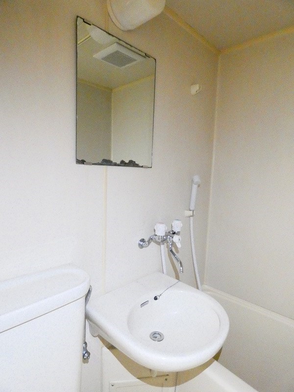 オリーブ その他1