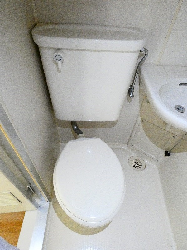 オリーブ その他2