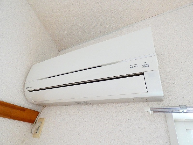 オリーブ その他3