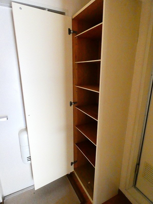 オリーブ その他4