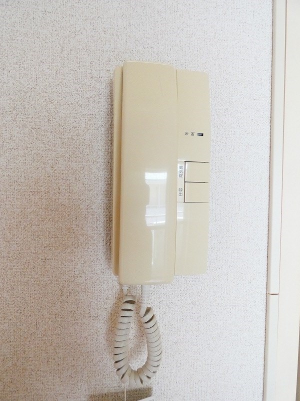 オリーブ その他5