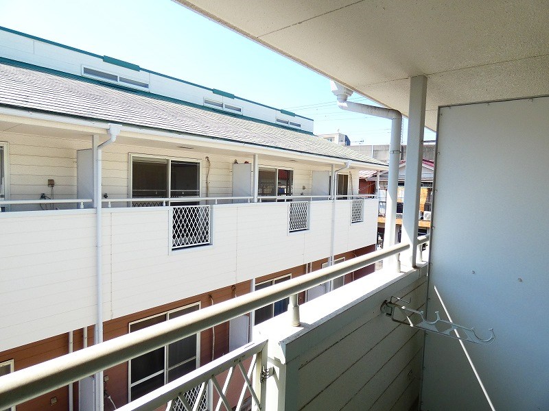 オリーブ その他6