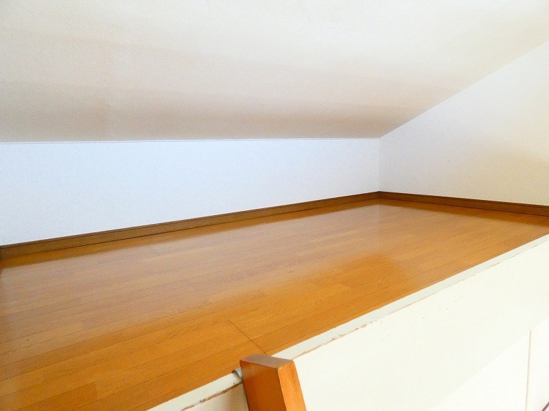 オリーブ その他7