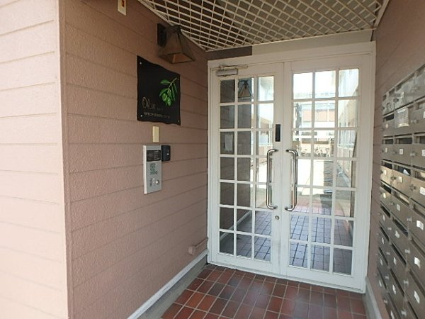 オリーブ その他8