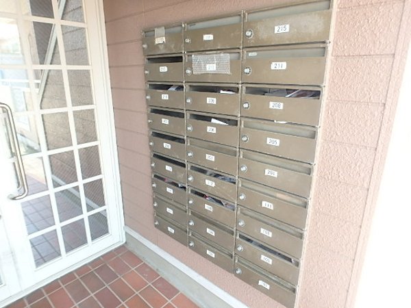 オリーブ その他9