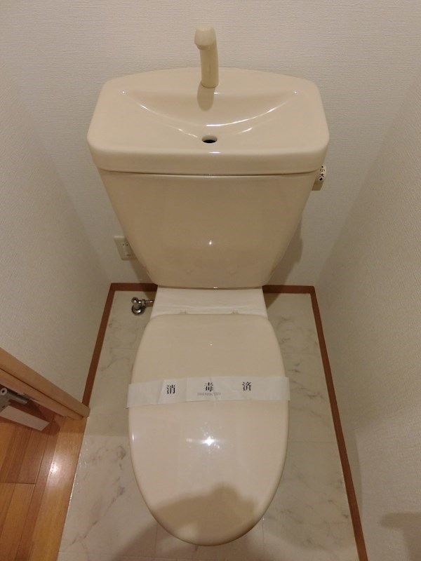 パラッツォ・マニフィコ   その他1