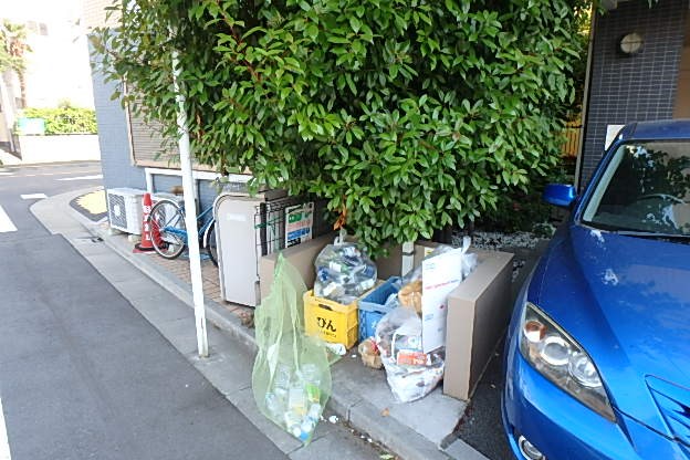 パラッツォ・マニフィコ   その他8