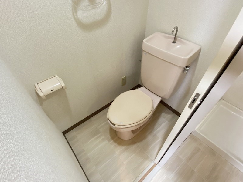 パストラル・ヒロ   その他1