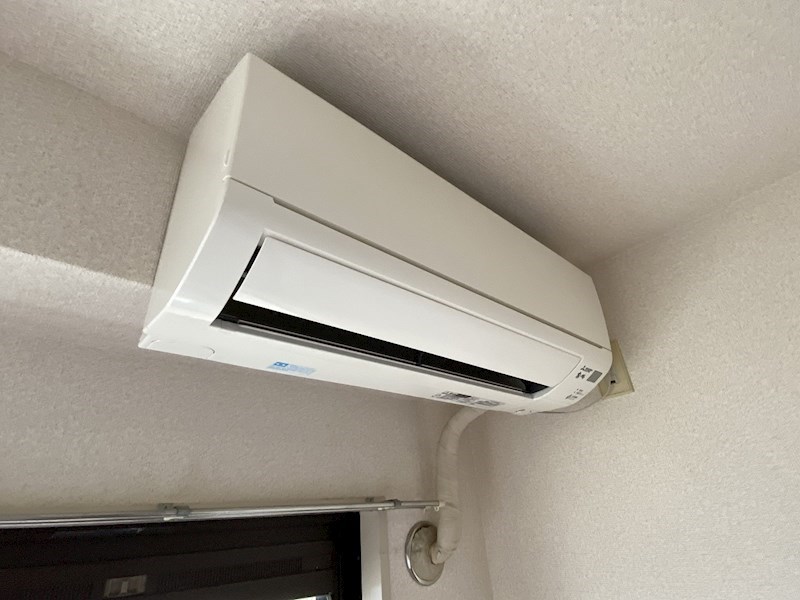 パストラル・ヒロ   その他2