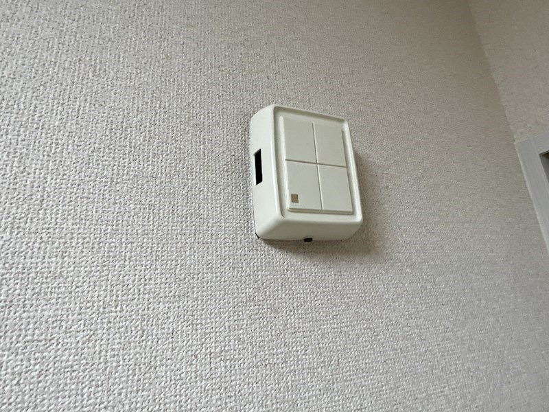 パストラル・ヒロ   その他7