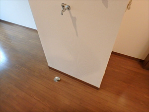 中村ハイム その他7