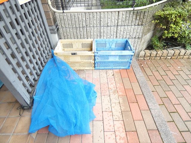 ラミアカーサ MA その他外観4