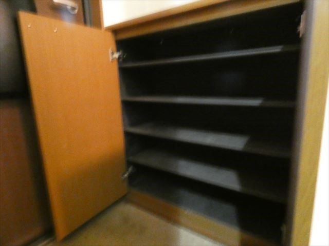 ラミアカーサ MA その他10