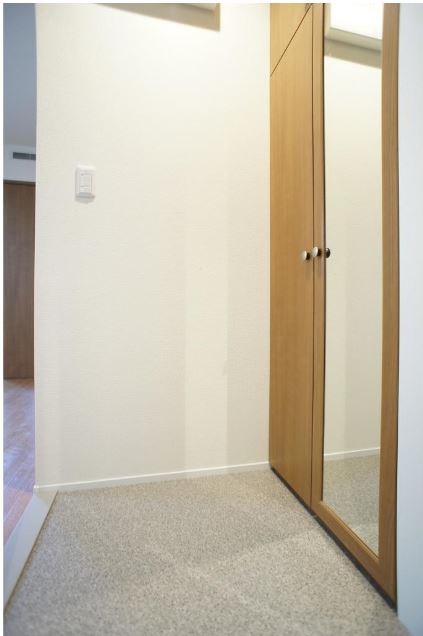 プラカーサ  玄関