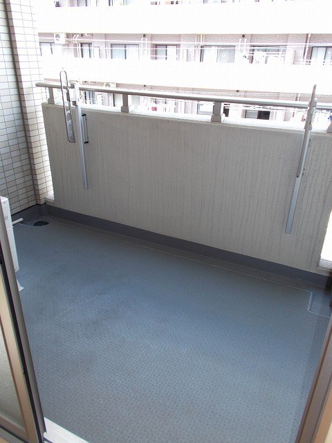 イーリス　ニシオオジマ ベランダ