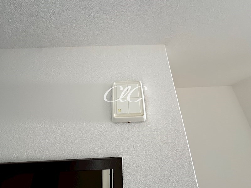 プリムローズG その他5