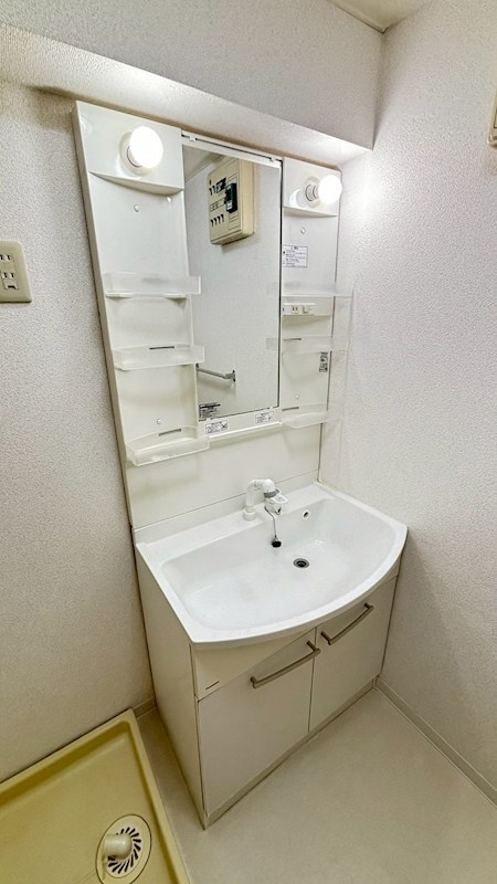 レピドール福田Ⅱ その他3