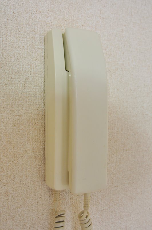 ベルトゥリーハイツ その他6