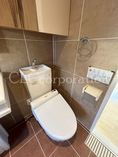 カラクムアチェリア その他1