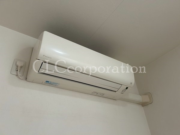 カラクムアチェリア その他10