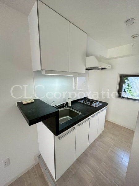 カラクムアチェリア その他13