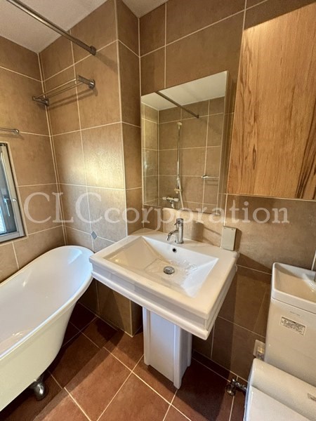 カラクムアチェリア その他2