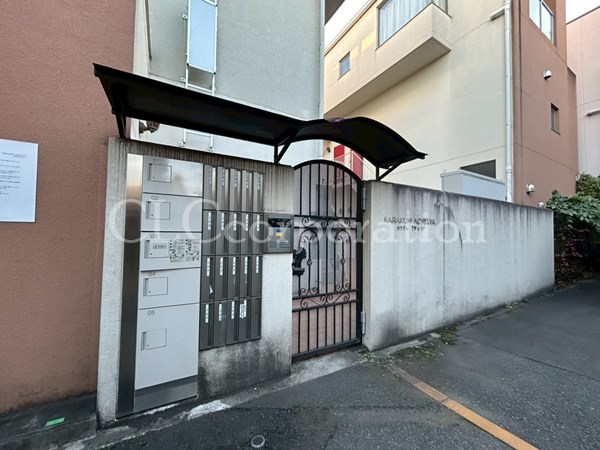 カラクムアチェリア その他5