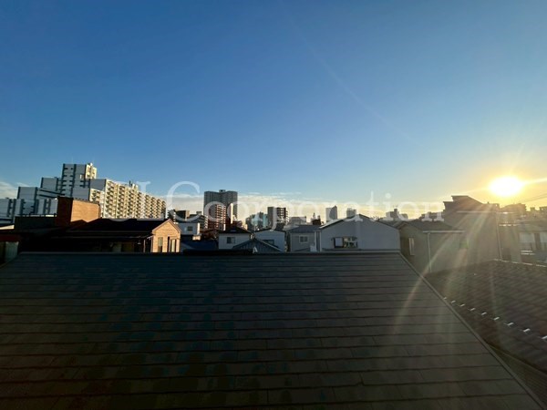 カラクムアチェリア その他6