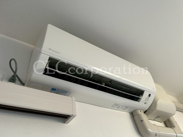 カラクムアチェリア その他7