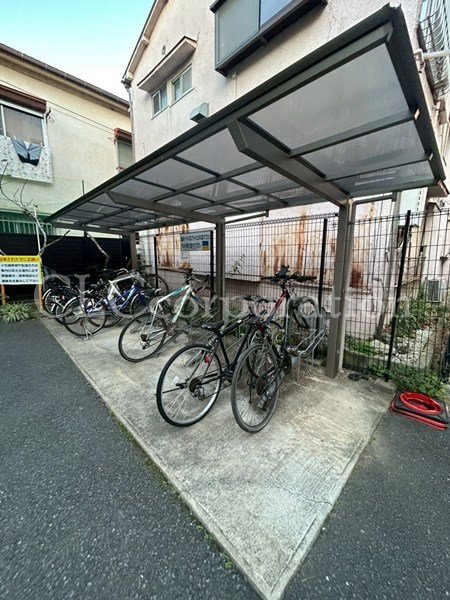 カラクムアチェリア その他9