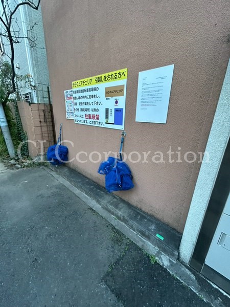 カラクムアチェリア その他11