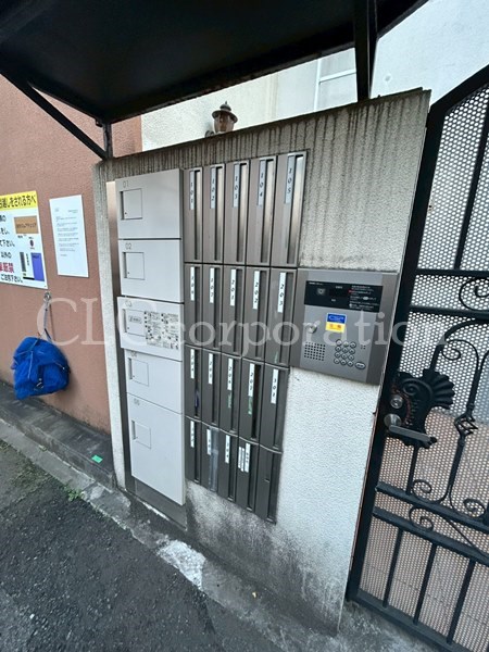 カラクムアチェリア その他16