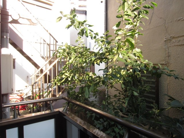 スカイメゾン その他6