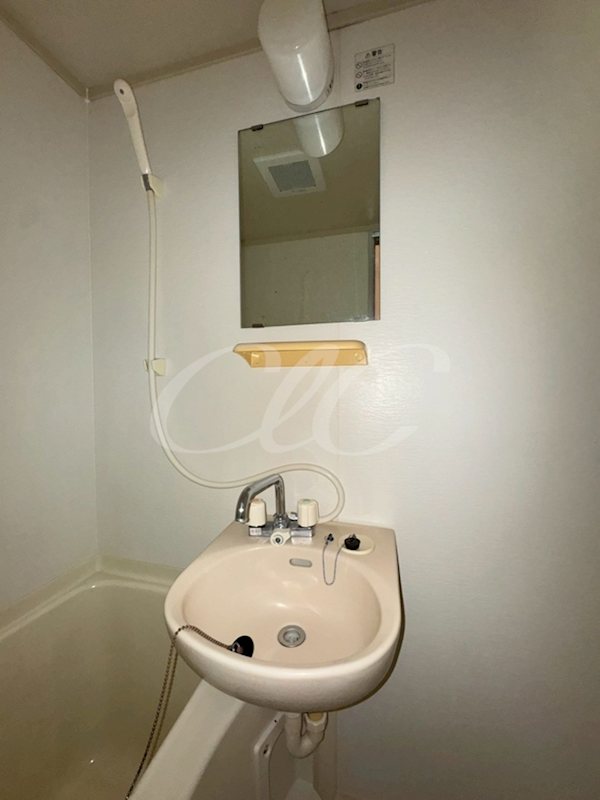 アルバティアラ その他2