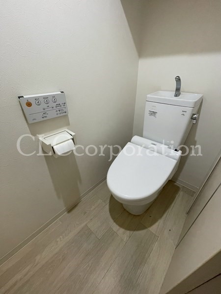 カラクムアチェリア その他1