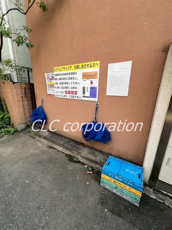 カラクムアチェリア その他8