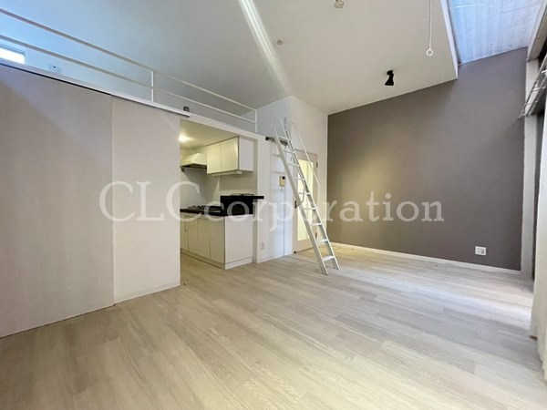 カラクムアチェリア その他9