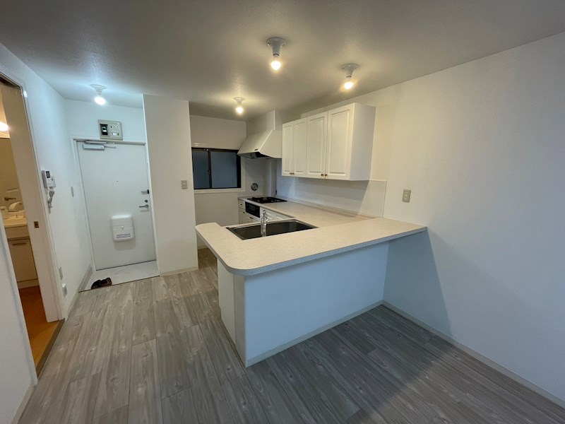 ハピネス市川  その他3