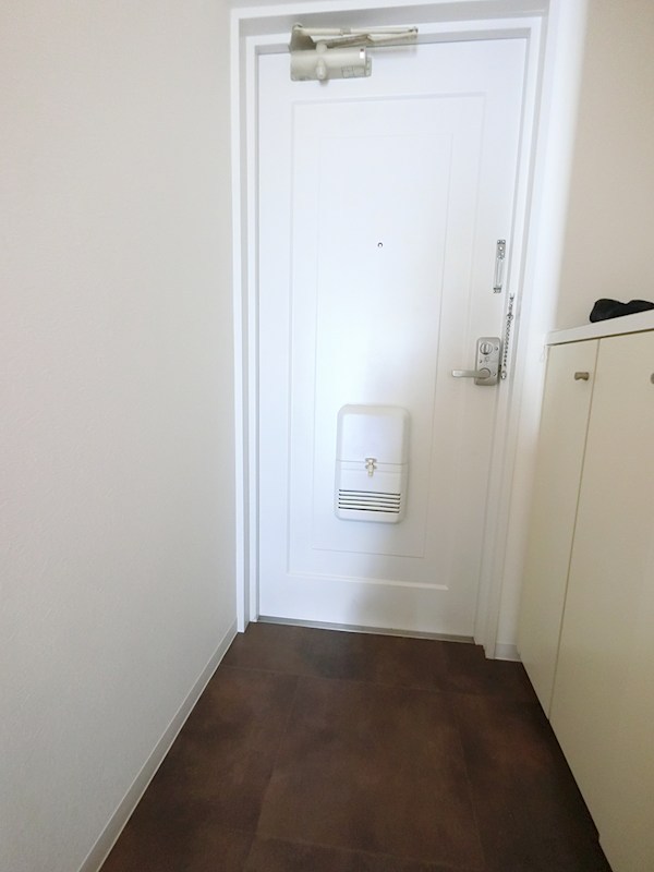 ルミエール西綾瀬 玄関