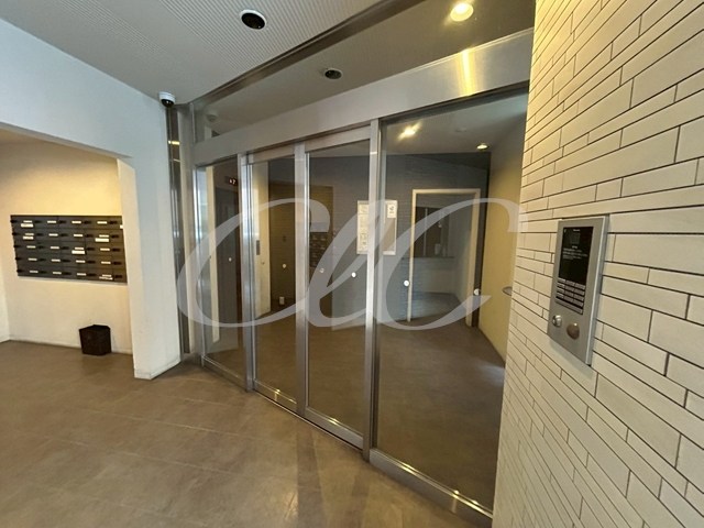 ミ・アモール その他1