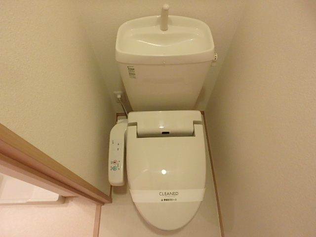 プリムローズ その他2