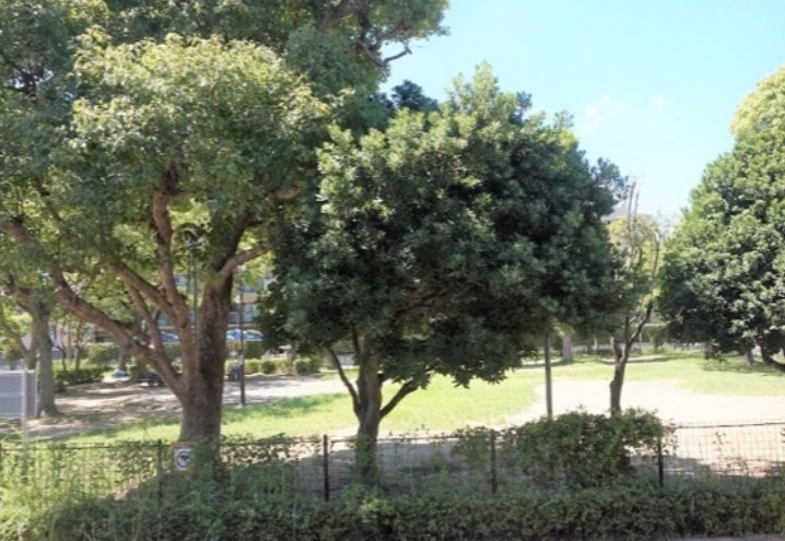 ローズアパート その他2